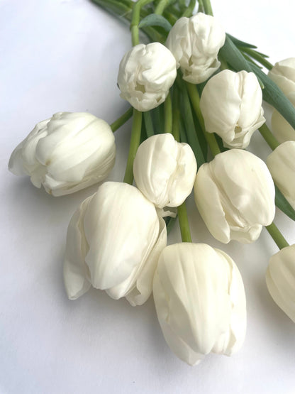 Coming SOON | ONCE a month | LOCAL PICK UP Winter Tulip Subscription