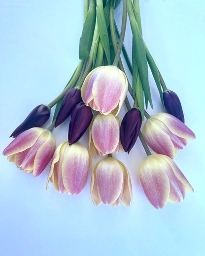 Farmer Choice - Mixed Bouquet Tulips
