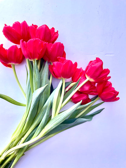 Coming SOON | TWICE a month | LOCAL PICK UP Winter Tulip Subscription